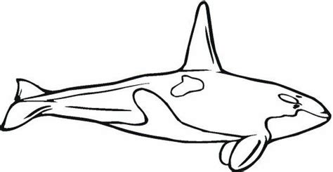 gideon whales|Gideon Whales .
